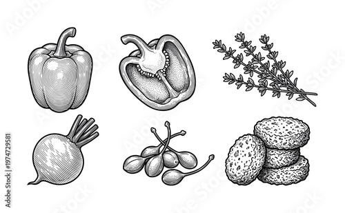 A collection of vintage food illustrations in an engraving style. Set includes pepper, thyme, beet, capers, and falafel. Perfect for menus, packaging, and branding.