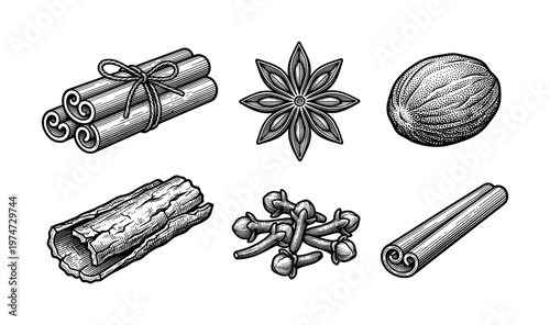 A collection of aromatic spices including cinnamon, anise, nutmeg, and cloves. Hand drawn vector illustration in a vintage, engraving style for cooking or food design.