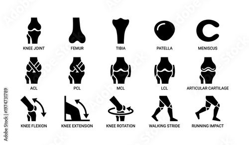 Knee anatomy icons: joint, bones, ligaments, movements, impact
