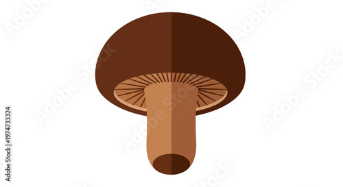 Brown Mushroom Fungi Organic Growth.