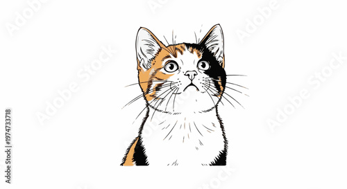 A close-up, black and white sketch with color accents of a calico cat's face