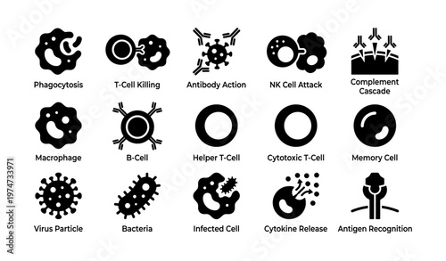 Immune system icon set: phagocytosis, antibody action, t-cell killing, nk attack, bacterium