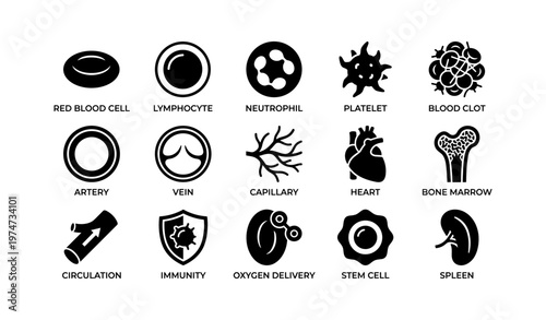 16 medical icons: cells, organs, and processes in healthcare illustration