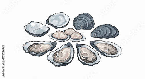 A circular arrangement of open and closed shellfish with greyish-blue shells