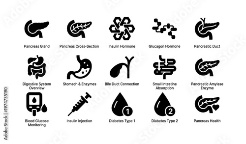 Icons illustrating pancreas function and digestive health