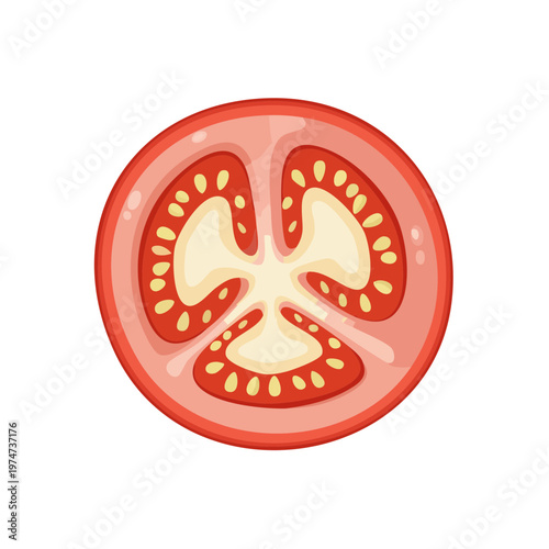 Ripe Tomato Slice with Seeds and Pulp Fresh Food Illustration