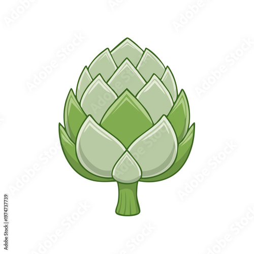 Fresh Green Artichoke Vegetable Illustration Isolated on White Background