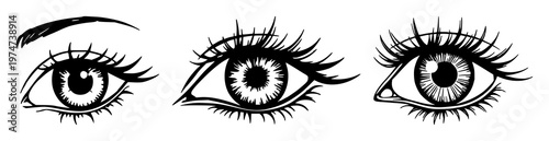 Mystical eye set with black line art on white background featuring eyelashes, eye, line drawing with single stroke and bold contour