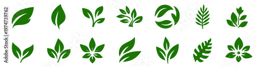 Compact set of green leaf symbols in mixed botanical silhouettes, isolated on a transparent background. Minimal vector foliage for eco signs, natural logos, packaging and garden graphics.