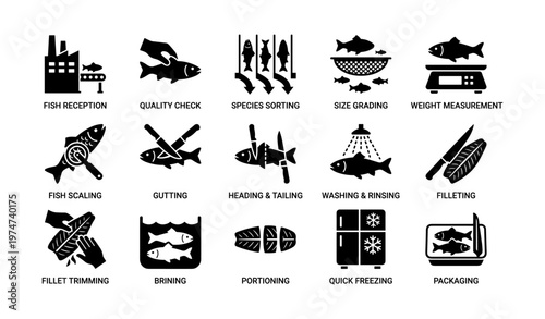 Fish processing stages: reception, scaling, sorting, packaging illustrated icons