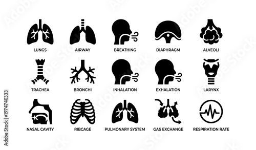 Human respiratory system icons: lungs, airway, diaphragm, and more