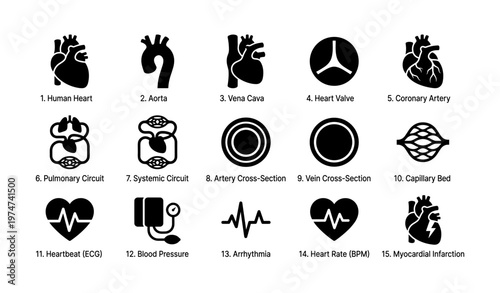 Cardiovascular system icons: heart, arteries, veins, heartbeat, blood pressure