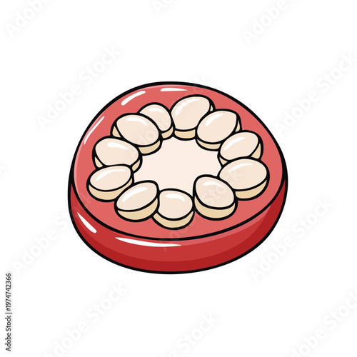 Cross section of a red chili pepper showing seeds and flesh isolated