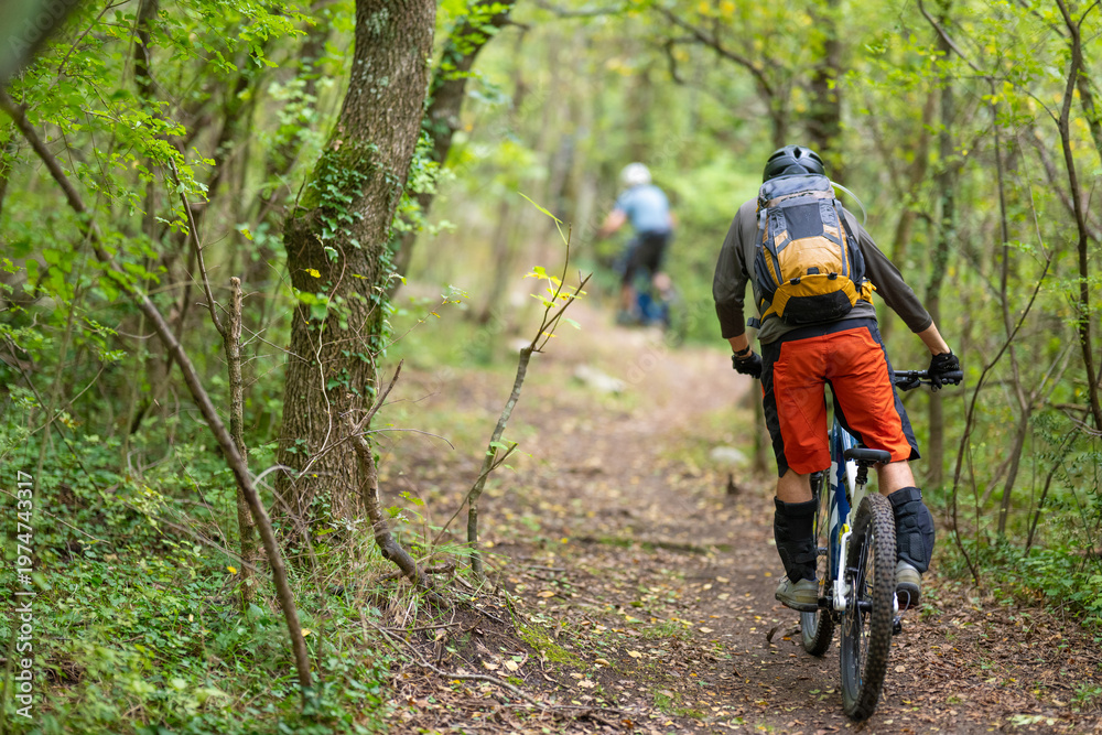 Fototapeta premium Cyclists mountain biking on a forest trail with backpacks and protective gear on a summer day