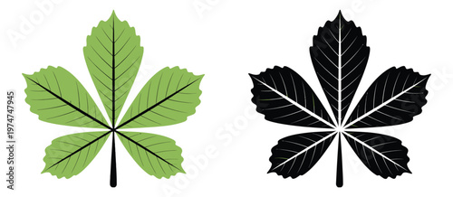Photos Horse Chestnut Buckeye leaf vector silhouette and color vector illustration
