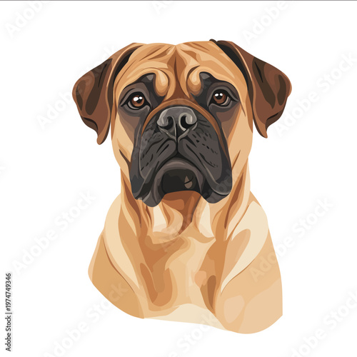 simple vector Bullmastiff clipart illustration white background vector art style simple design flat illustration no shadows