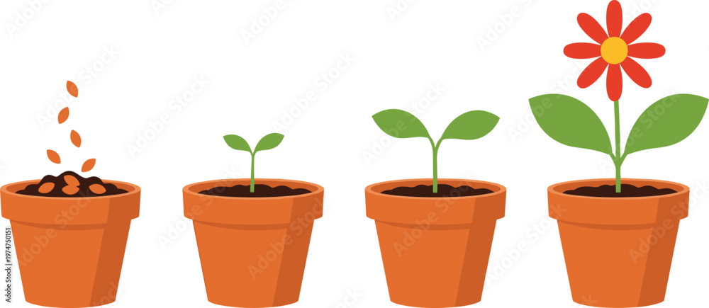 Fototapeta premium Plant Growth Stages Illustration Showing Seed Germination Sprout Seedling and Flowering Plant in Pots for Gardening Education and Nature Development Concept