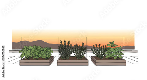Three planters with green plants on a rooftop at sunset