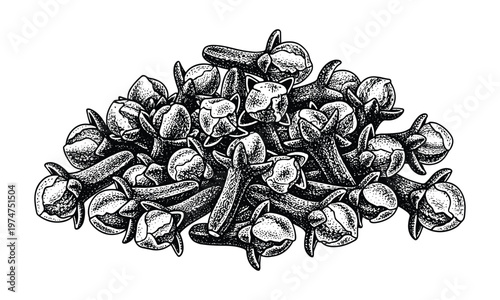 Pile of cloves spice vector illustration. aromatic food ingredient.
