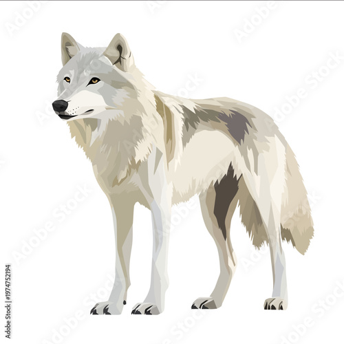 simple vector tundra wolf clipart illustration white background vector art style simple design flat illustration no shadows