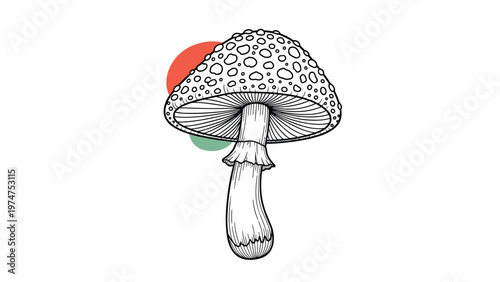 Detailed black and white line art of a mushroom with a spotted cap, accented by red and green circles in the background.