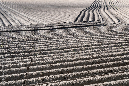 Fotografie Ploughed field showing furrows and cultivation patterns