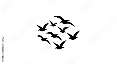 Flock of birds flying together.