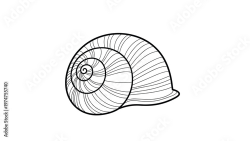 Simple black and white line drawing of a round snail shell showing a spiral structure on a plain white background for design.