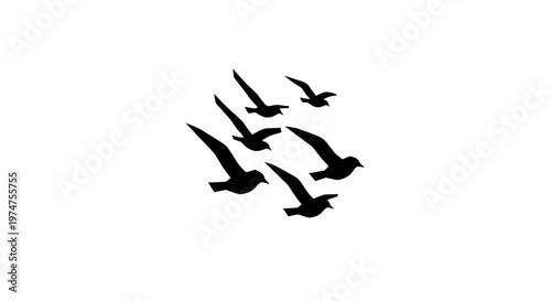 Group of birds flying together freely.