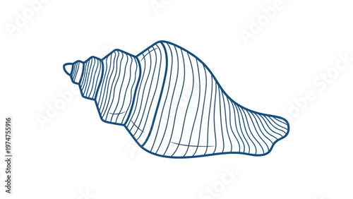 Highly detailed blue line drawing of a spiral seashell with intricate ridges and patterns isolated on a white background.