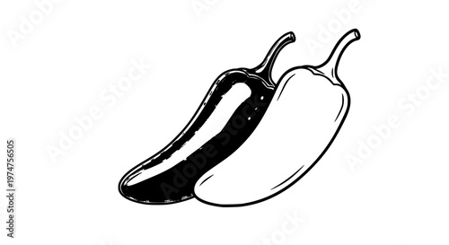 Fresh Jalapeño Pepper Vector, Glossy Spicy Chili Illustration for Food Design