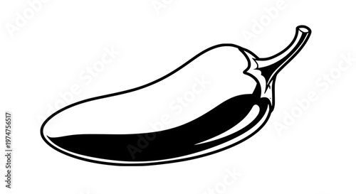 Fresh Jalapeño Pepper Vector, Glossy Spicy Chili Illustration for Food Design