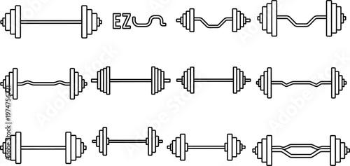 Variety of dumbbells and barbells for weightlifting exercises and strength training equipment  fitness tools for workouts and bodybuilding