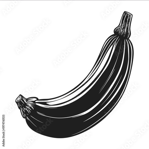 black silhouette zucchini on a white backgrounk vector