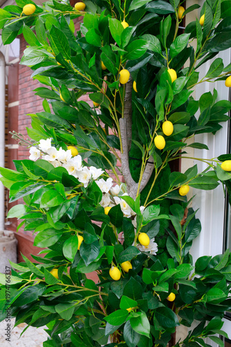 An artificial lemon bush on the street.