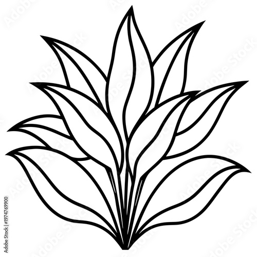 plants and flowers line art vector