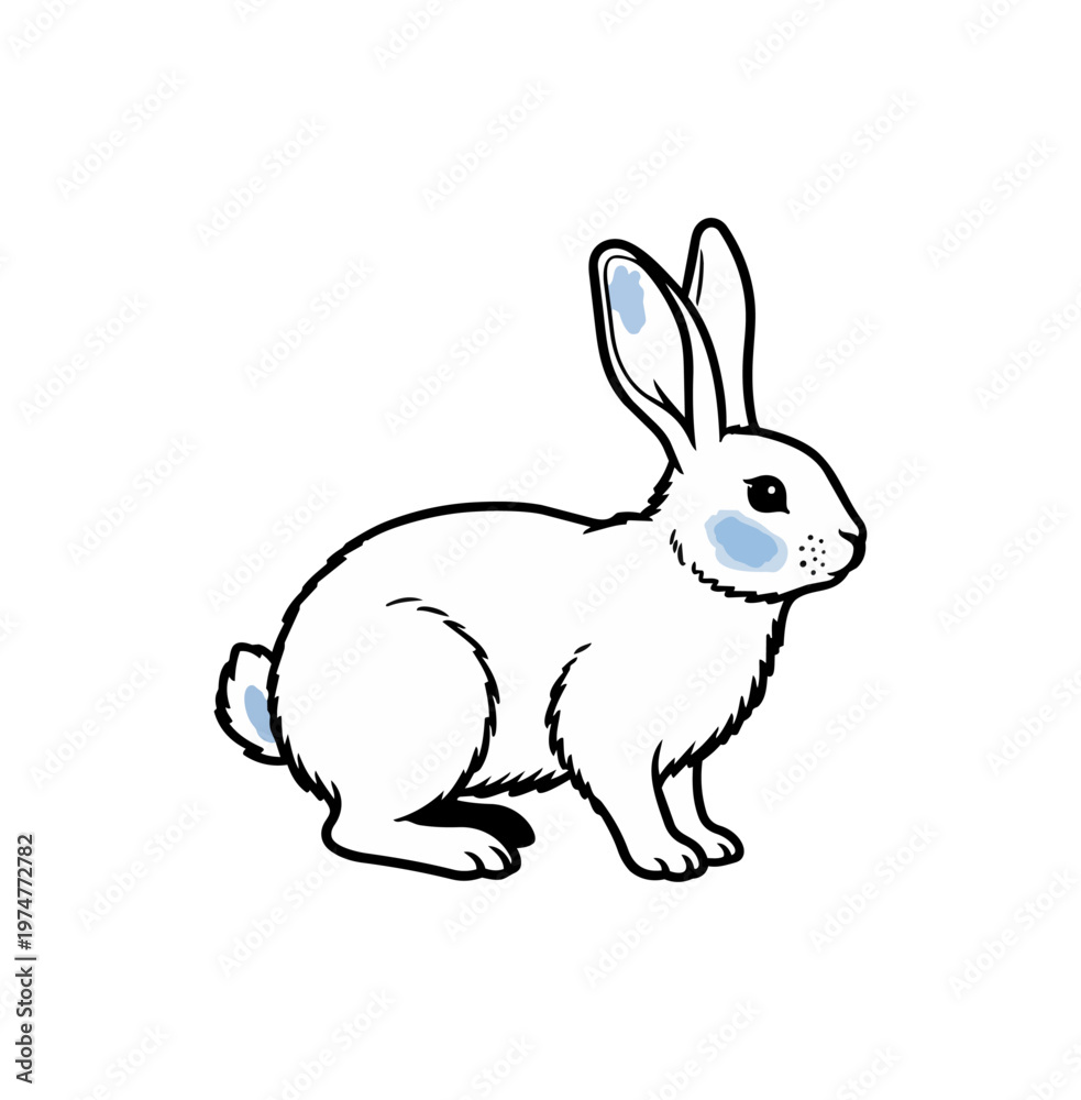 Obraz premium White rabbit illustration isolated on black background