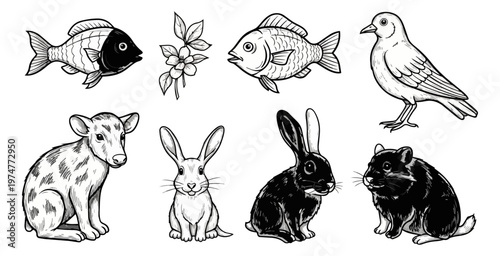 Collection of hand drawn animal and fish illustrations on black background