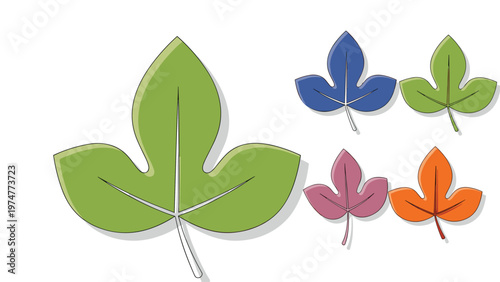 Collection of different colored leaves in green blue purple and orange shades showcasing autumn foliage variations in a flat graphic style.