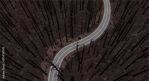 A desolate, winding road cuts through a dark, barren forest of bare trees