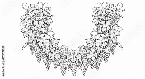 Stylized vintage grape vine border design with hanging bunches