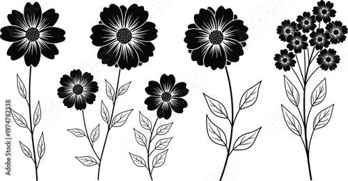 Black and white floral silhouette set with blooming flowers and leaves, botanical illustration collection isolated on transparent background, decorative nature elements for graphic design