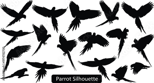 Collection of flying parrot silhouettes isolated on white background, tropical bird shapes in motion, detailed wings spread, wildlife illustration set for design, decoration, and branding use