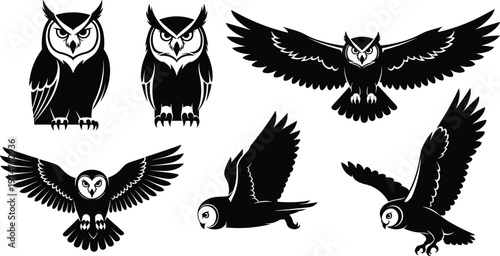 Collection of owl silhouettes in various poses, flying and perched nocturnal birds isolated on white background, detailed wings spread illustration for wildlife, nature, and design use