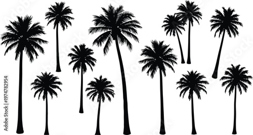 Collection of palm tree silhouettes isolated on white background, tropical coconut trees in various heights and shapes, beach landscape elements for summer, travel, and nature design use