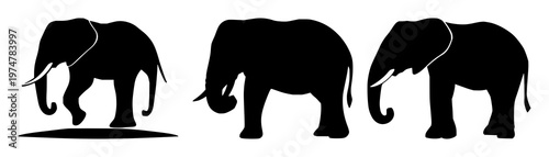 Elephant icon set with black silhouette on white backdrop featuring wildlife conservation, endangered species, iconography with high contrast and minimalist design