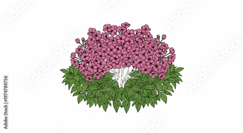 A blooming bush with pink blossoms and green leaves