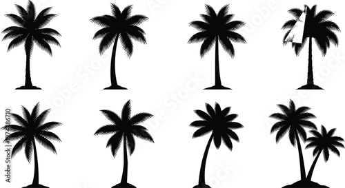 Set of tropical palm tree silhouettes isolated on white background, collection of exotic beach trees, black botanical elements for summer design and coastal graphics
