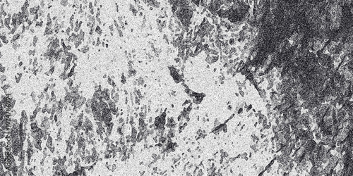 Grayscale abstract texture with a speckled, porous appearance and irregular dark formations, suggesting a natural or weathered material for backgrounds and design