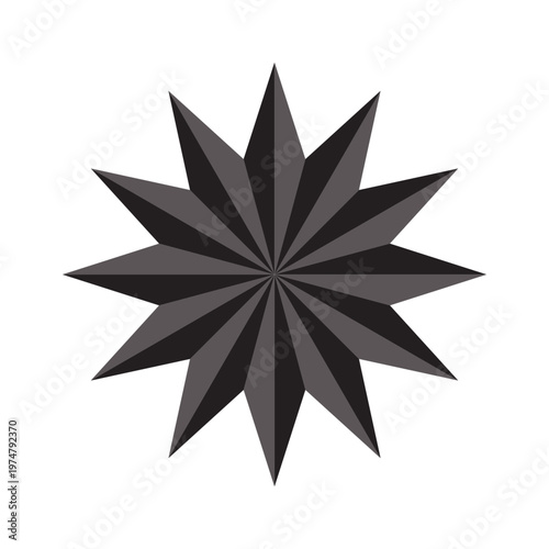 Abstract Gray and Black Geometric Starburst Radial Design